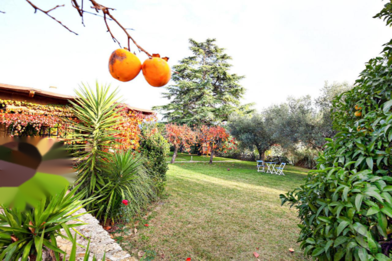 House in Portoroz, Slovenia, 214 m² - picture 1