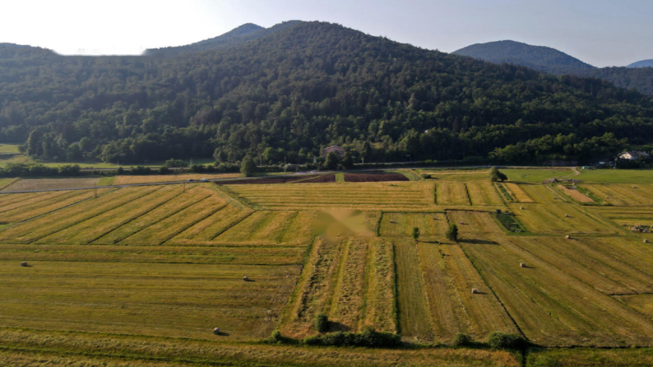 Farm in Brezovica, Slowenien, 53 820 m² - Foto 2