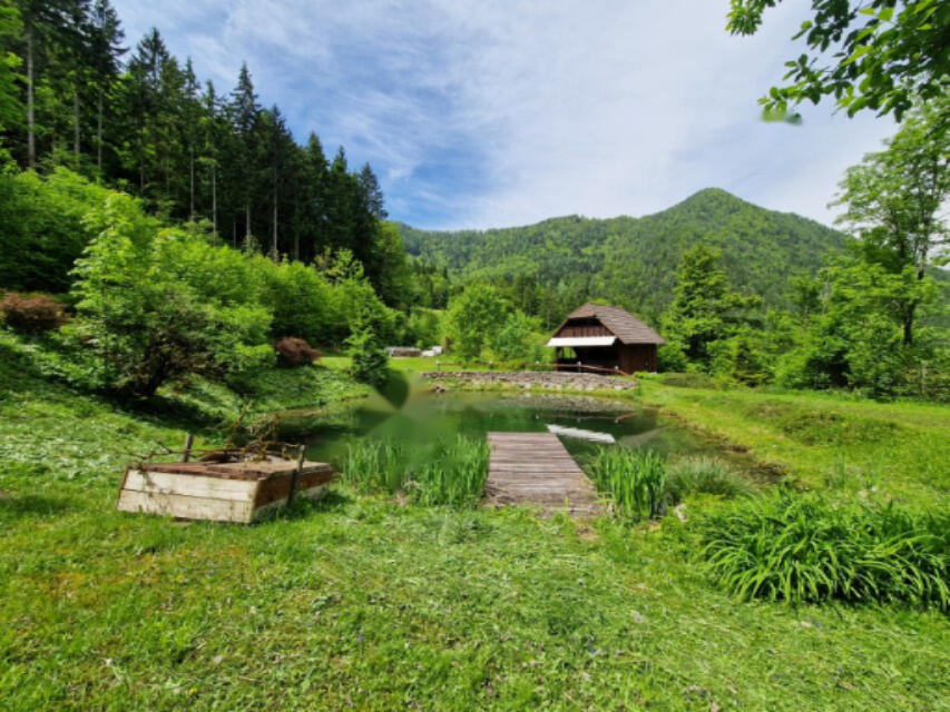 Farm in Dravograd, Slowenien, 105 872 m² - Foto 3