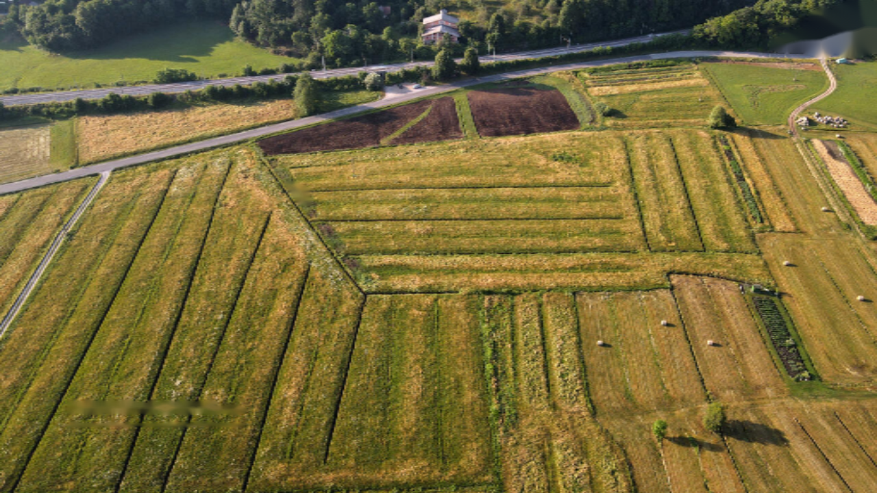 Farm in Brezovica, Slowenien, 53 820 m² - Foto 3