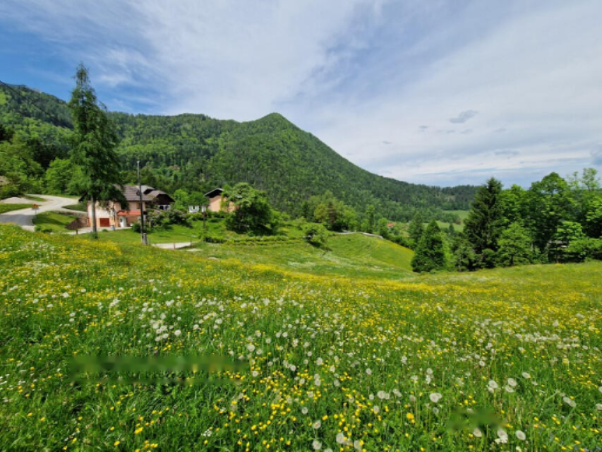 Farm in Dravograd, Slowenien, 105 872 m² - Foto 4