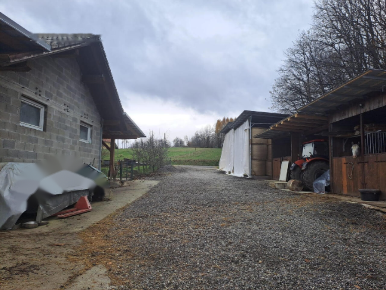 Granja en Apače, Eslovenia, 3 080 m² - imagen 8