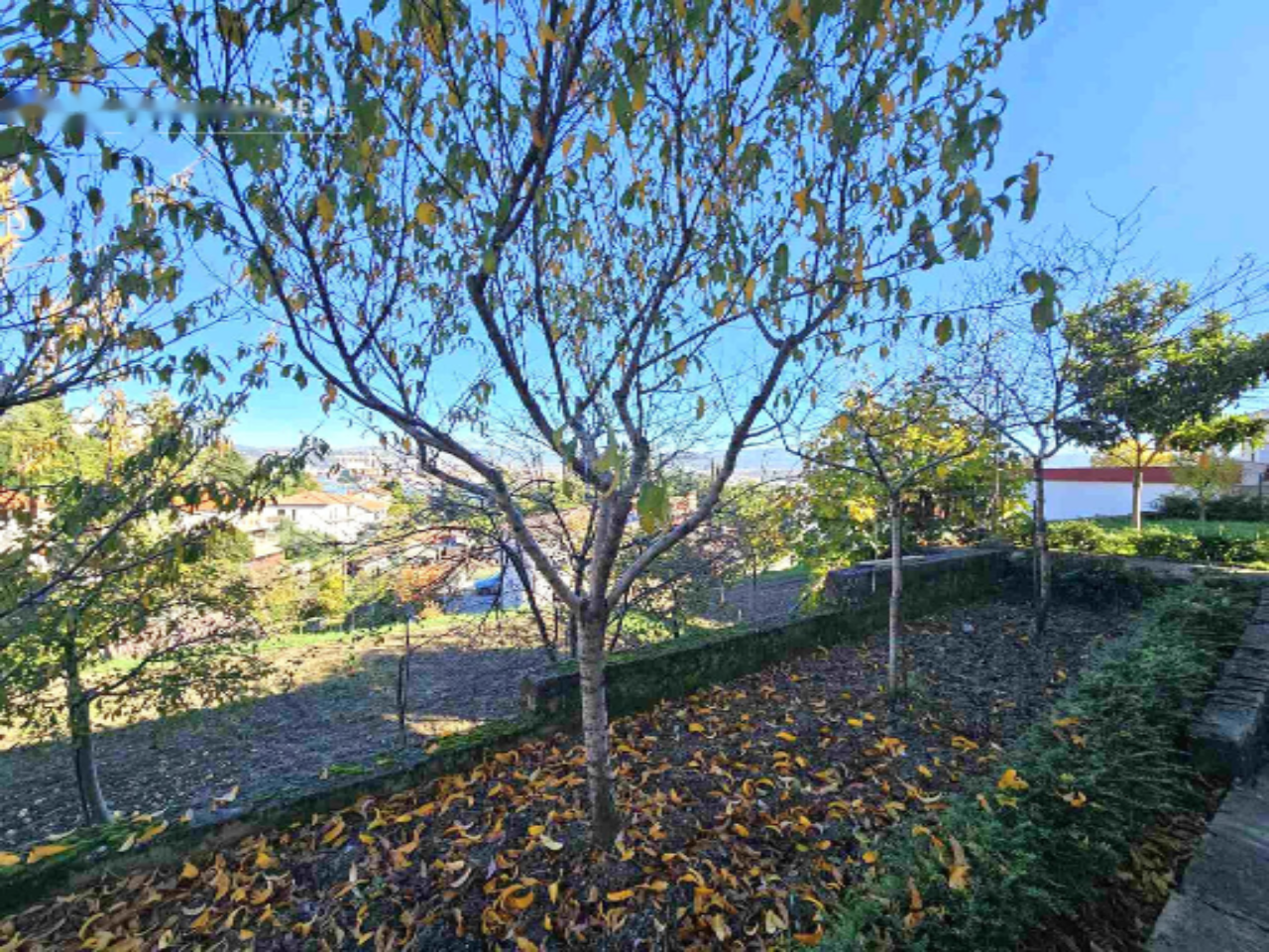 Haus in Koper, Slowenien, 243 m² - Foto 8