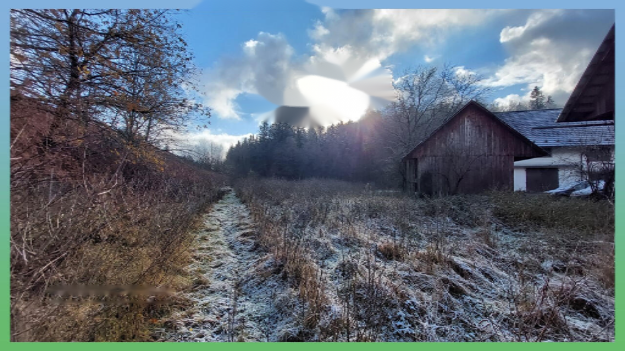 Farm in Kranj, Slovenia, 33 136 m² - picture 9