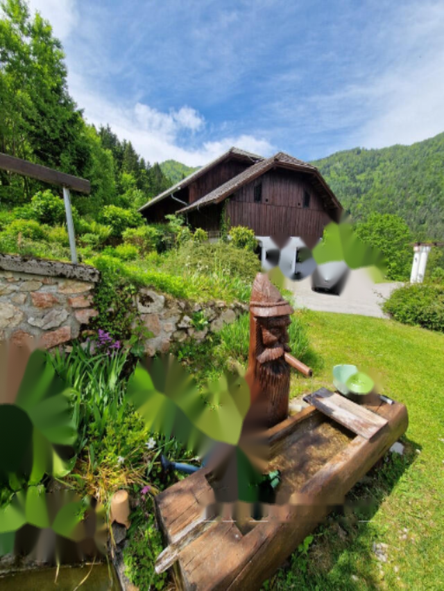 Farm in Dravograd, Slowenien, 105 872 m² - Foto 11