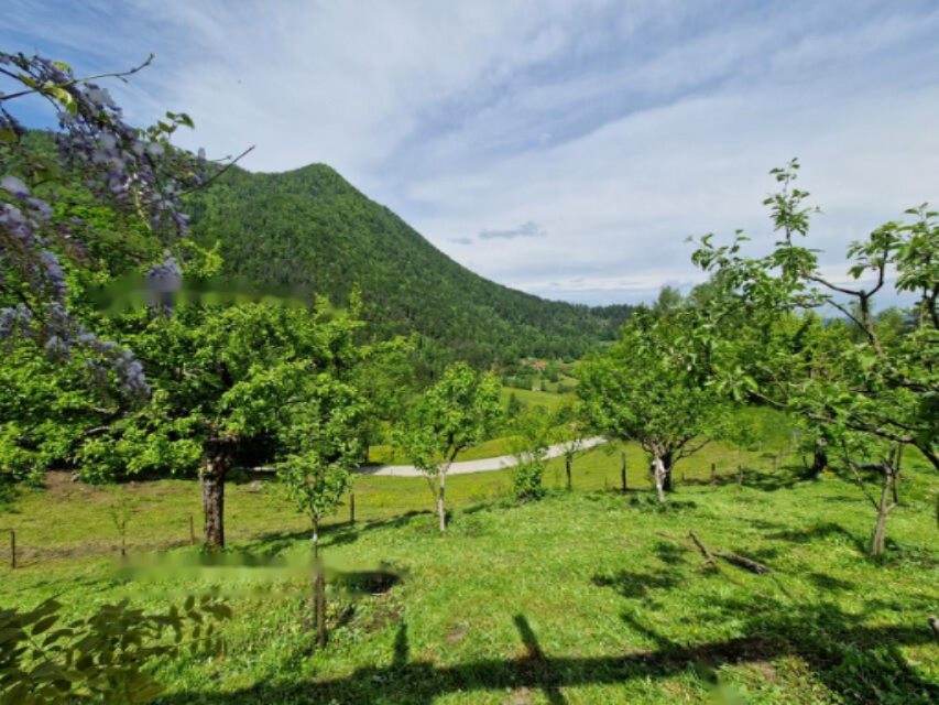 Farm in Dravograd, Slowenien, 105 872 m² - Foto 12