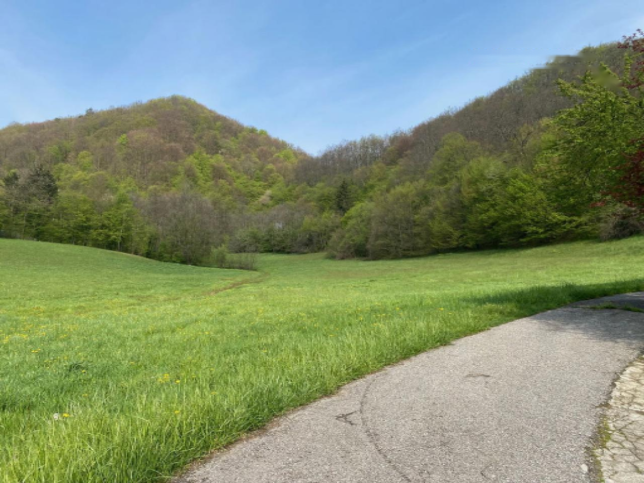 Haus in Krka, Slowenien, 52 m² - Foto 14