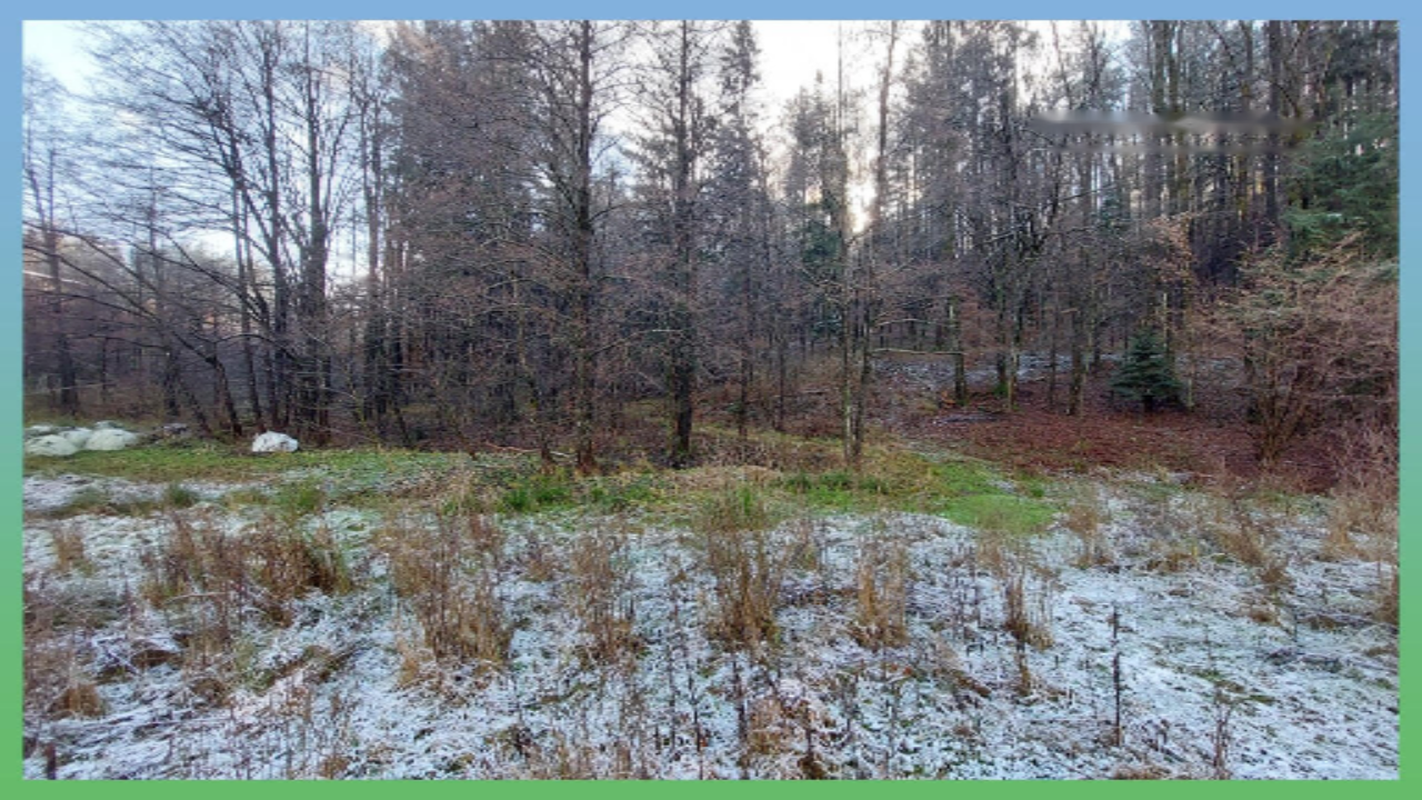 Farm in Kranj, Slovenia, 33 136 m² - picture 14