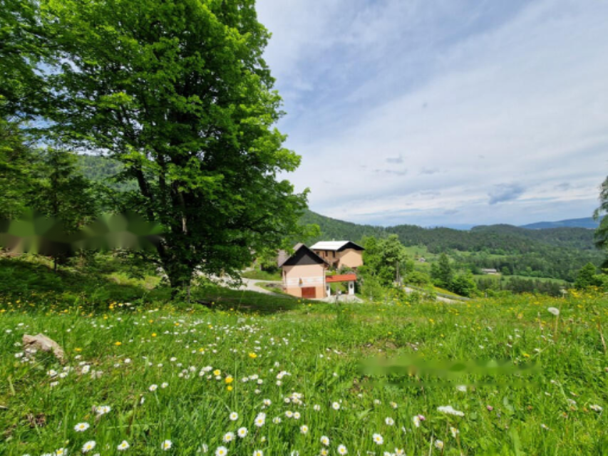 Farm in Dravograd, Slowenien, 105 872 m² - Foto 15