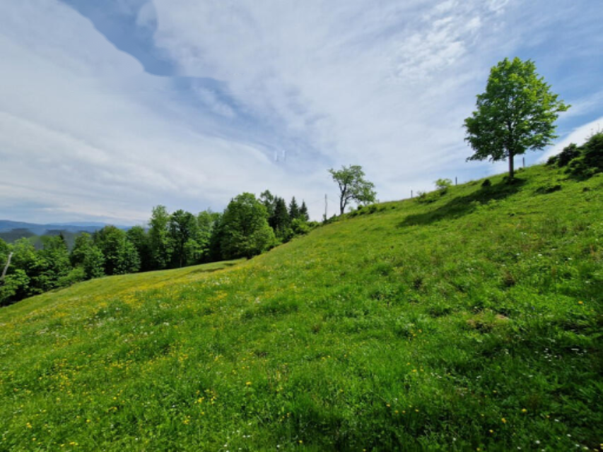 Farm in Dravograd, Slowenien, 105 872 m² - Foto 16