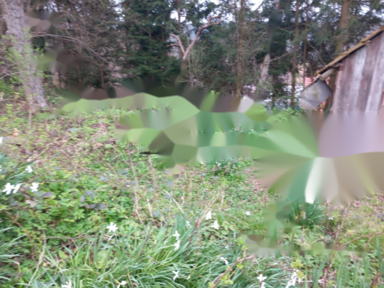 Terreno en Liubliana, Eslovenia, 754 m² - imagen 2