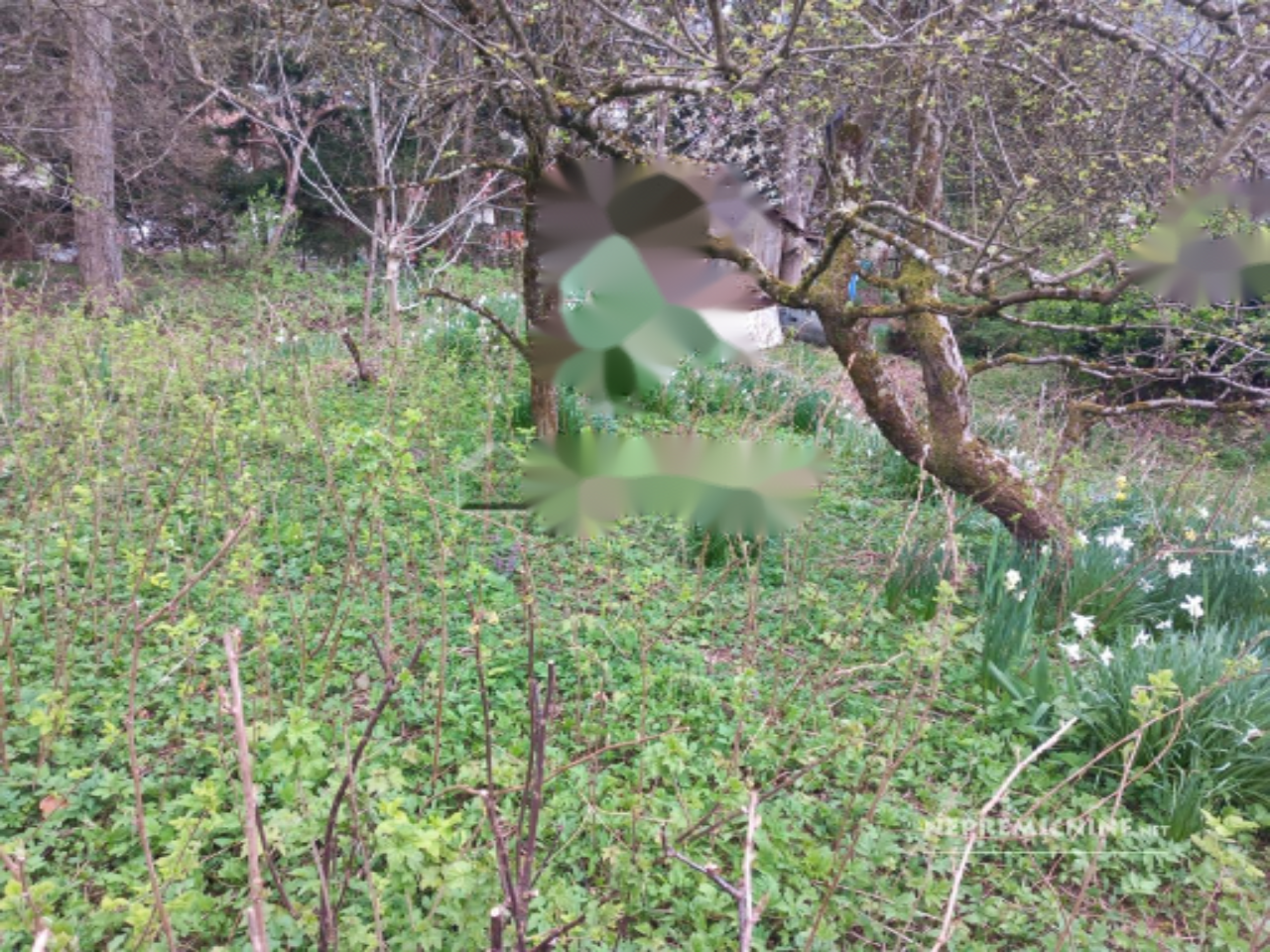 Terreno en Liubliana, Eslovenia, 754 m² - imagen 3