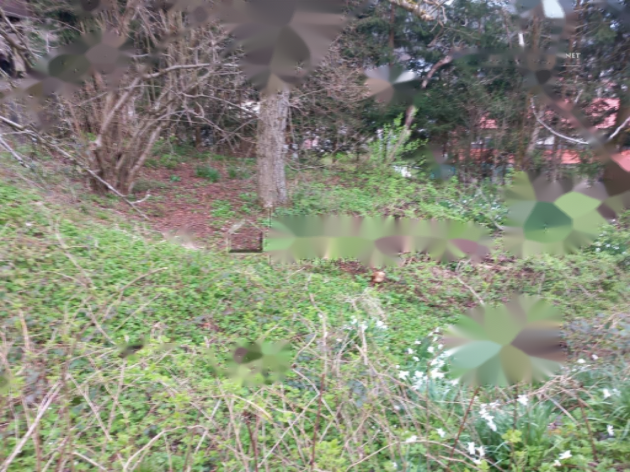 Terreno en Liubliana, Eslovenia, 754 m² - imagen 4