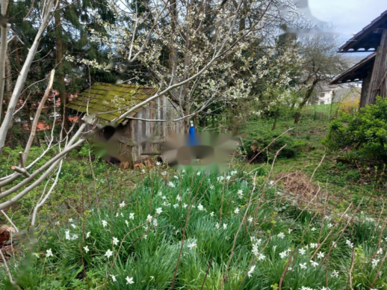 Terreno en Liubliana, Eslovenia, 754 m² - imagen 5