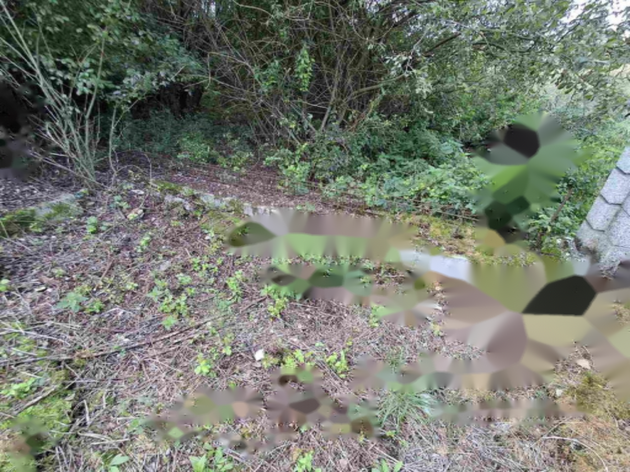 Terreno a Lubiana, Slovenia, 729 m2 - foto 6