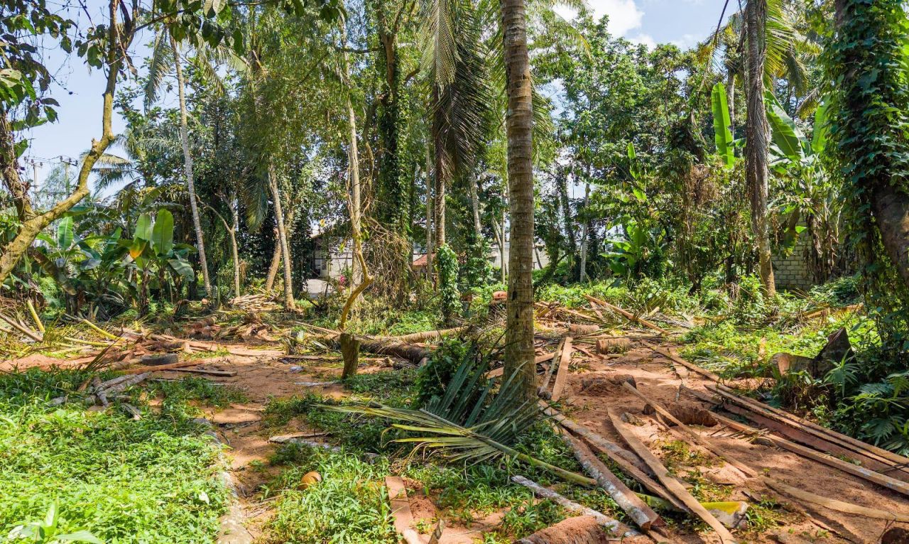 Grundstück in Ubud, Indonesien, 1 000 m² - Foto 11