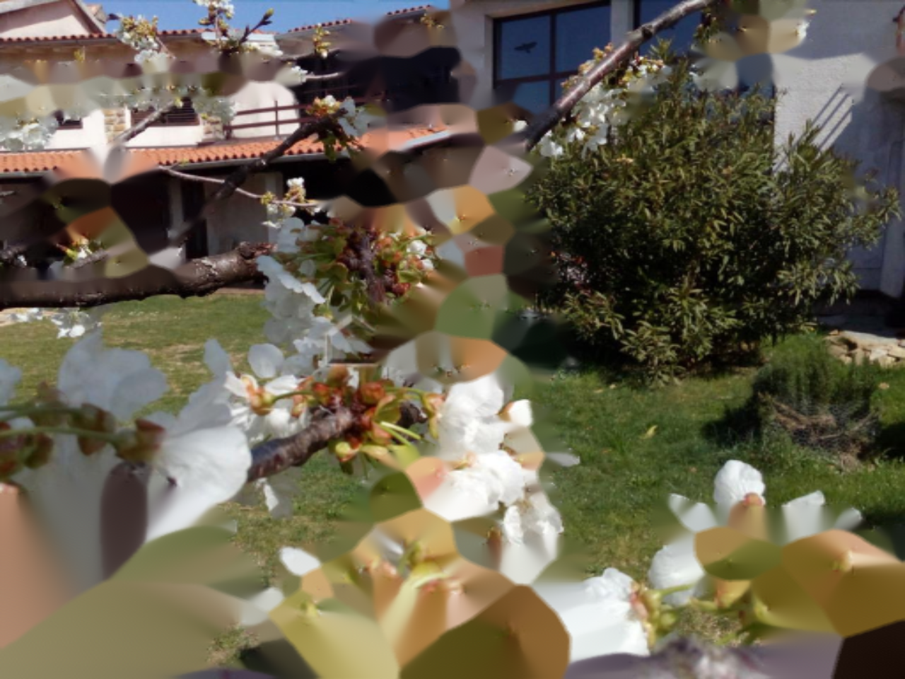 Casa en Koper, Eslovenia, 417 m² - imagen 2