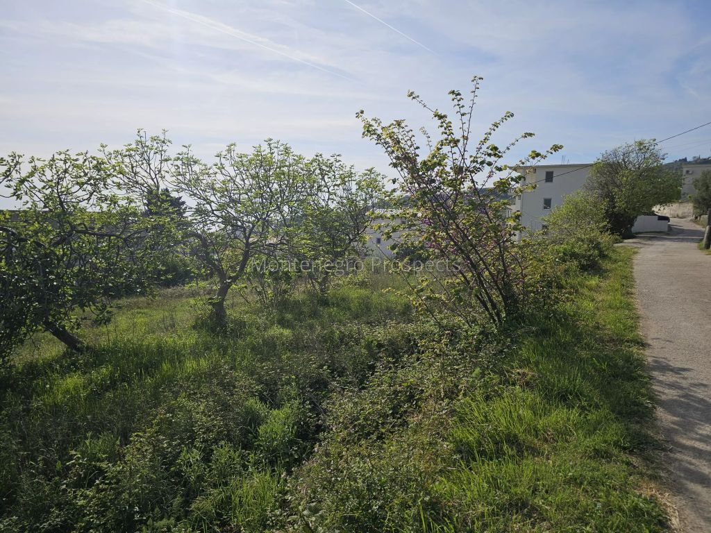 Maison au Bar, Monténégro, 272 m² - image 3