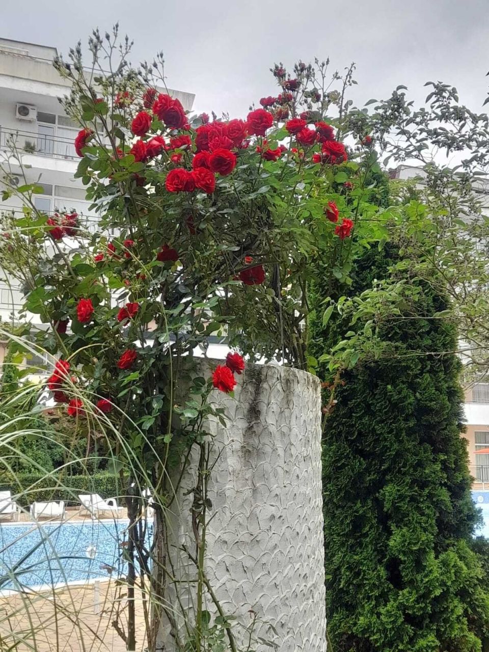 Appartamenti a Spiaggia assolata, Bulgaria, 96 m² - foto 4