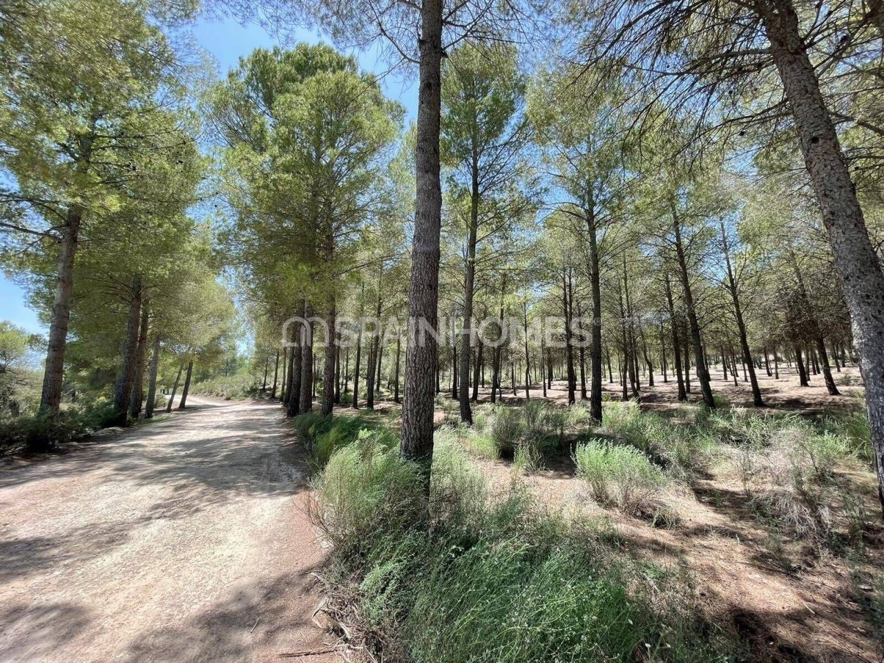 Villa Calasparra, Spain, 174 m² - picture 18