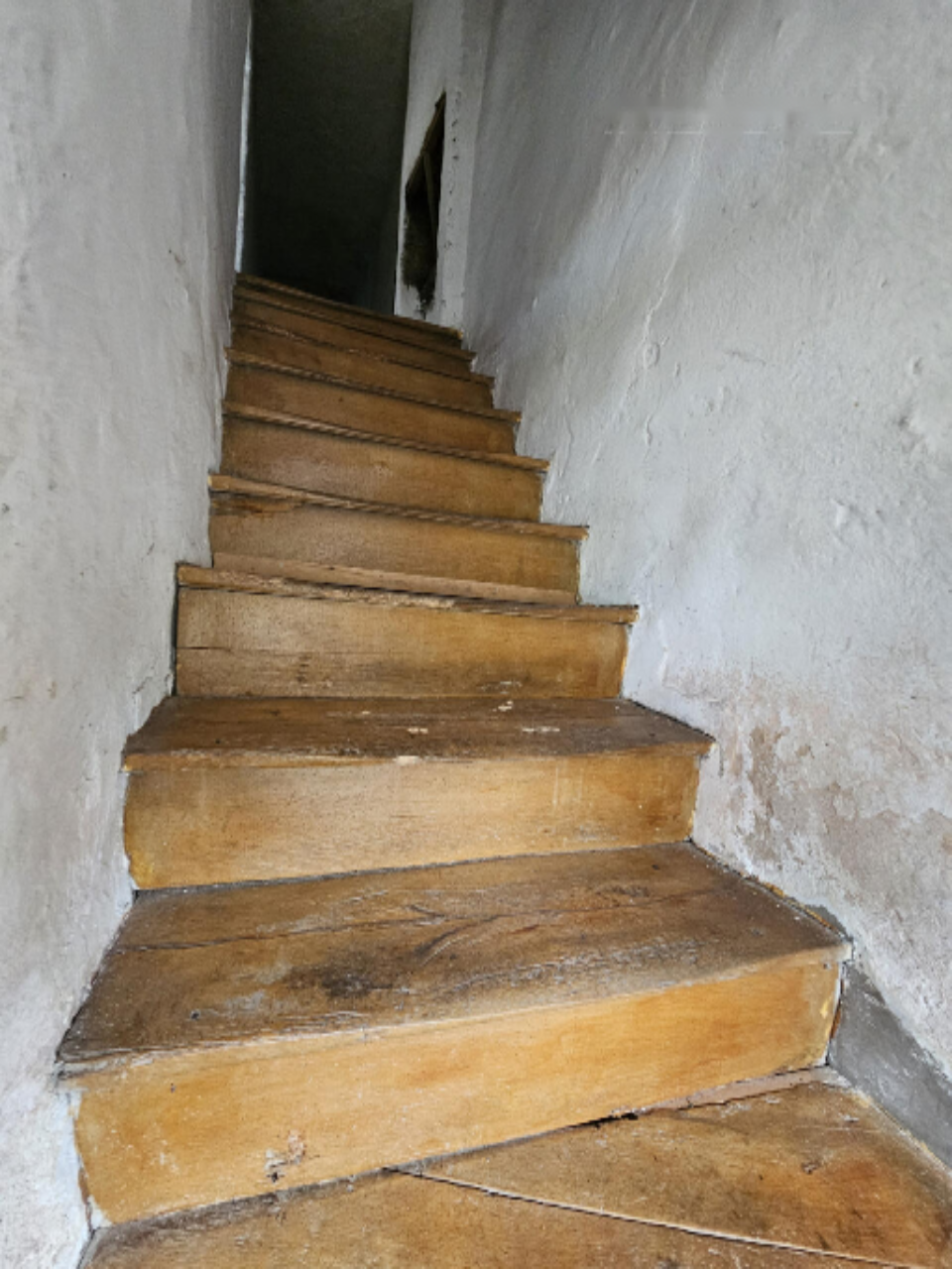 Farm in Idria, Slovenia, 71 786 m² - picture 13