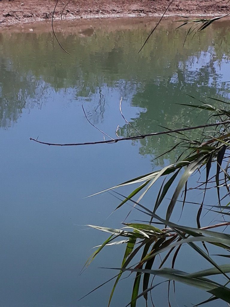 Grundstück in Heraklion, Griechenland, 1 048 m² - Foto 2