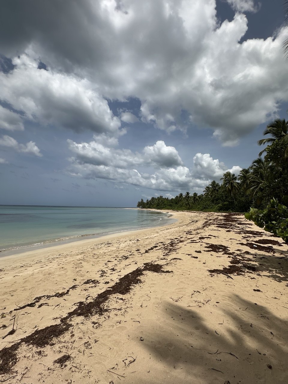 Appartamenti a Samana, Repubblica Dominicana, 128 m² - foto 17