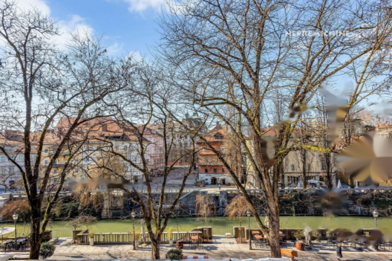 Wohnung in Ljubljana, Slowenien, 205 m² - Foto 3
