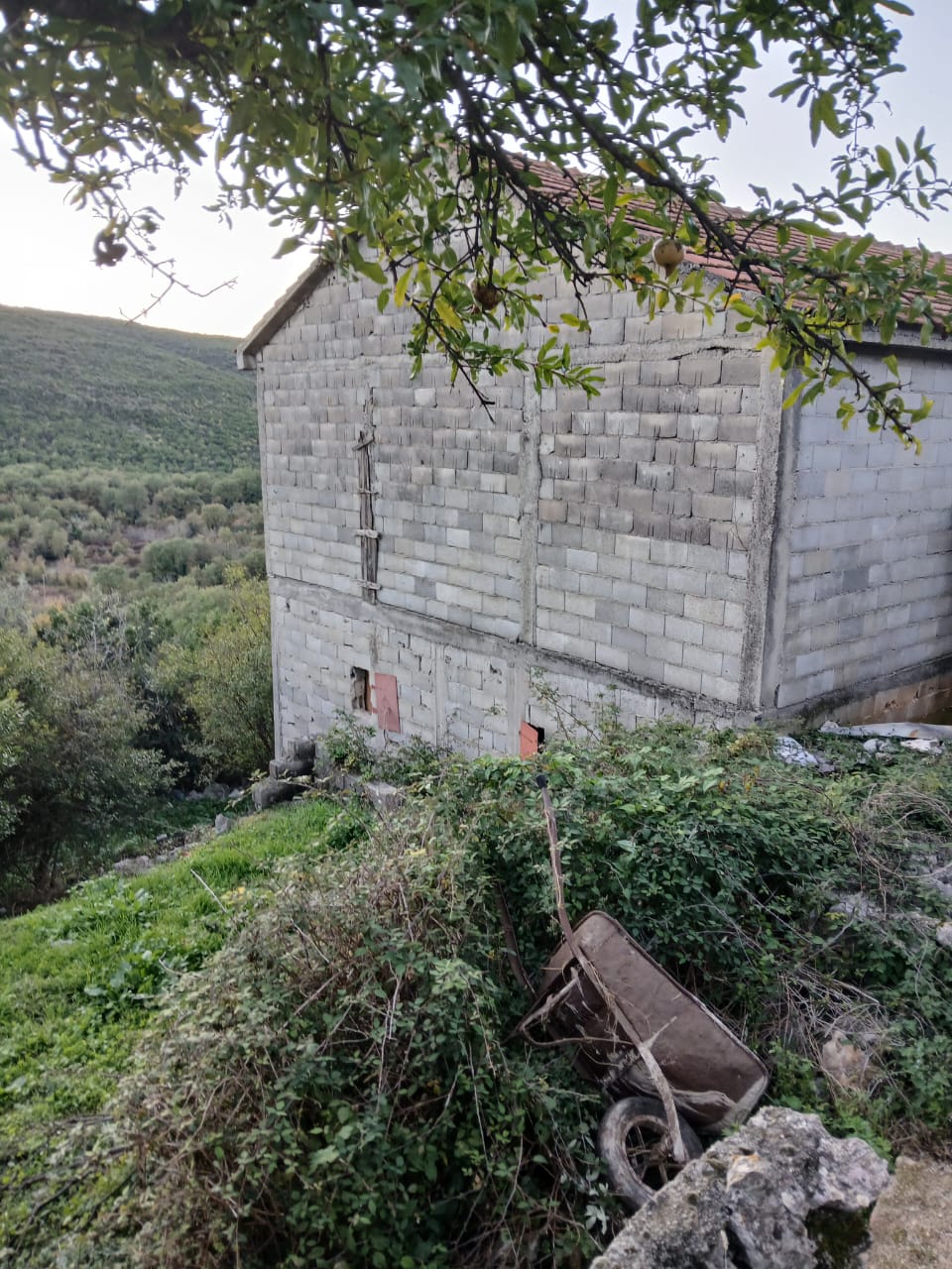 Land in Krimovica, Montenegro, 26 000 m² - picture 16