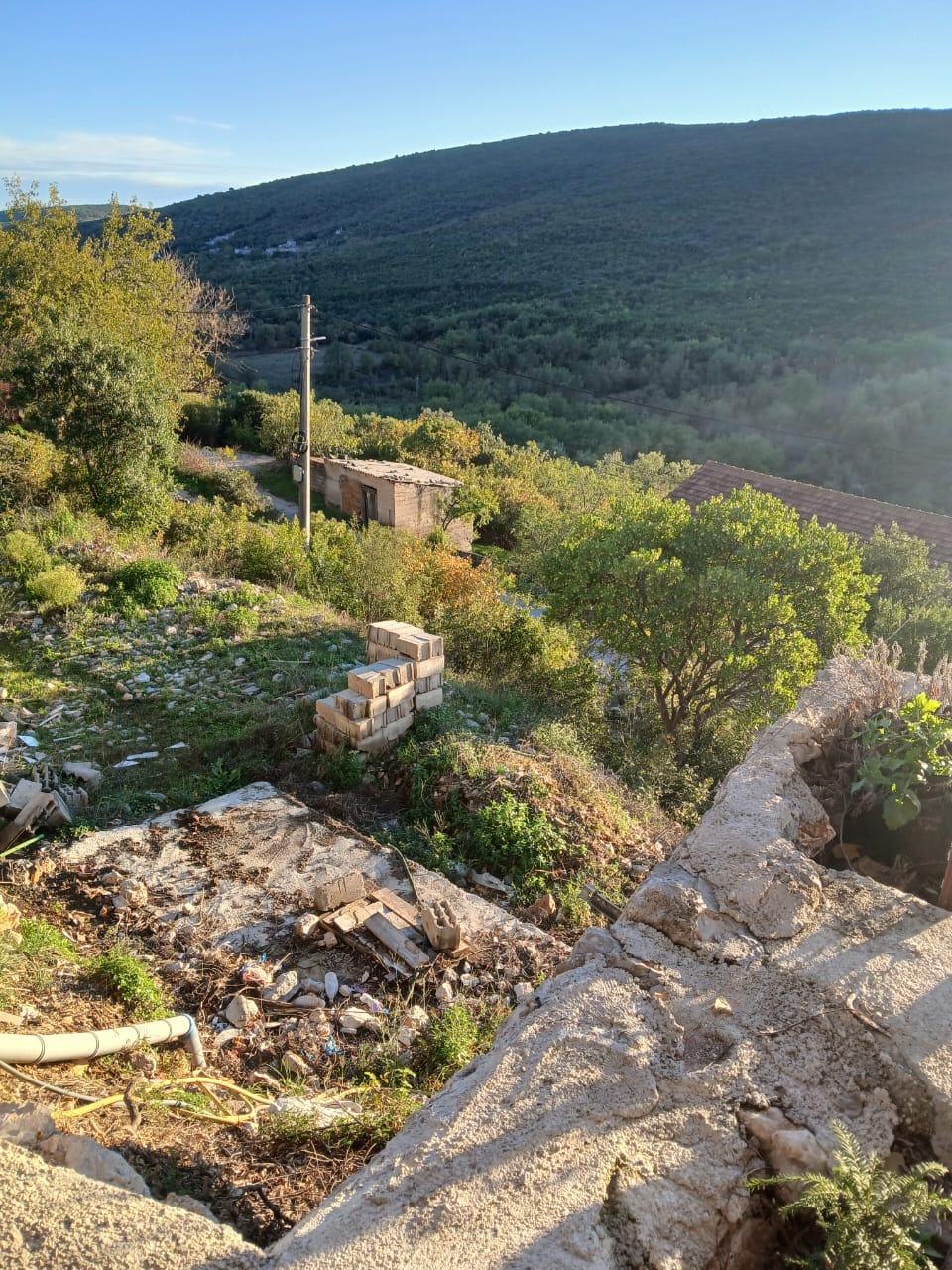 Land in Krimovica, Montenegro, 26 000 m² - picture 3