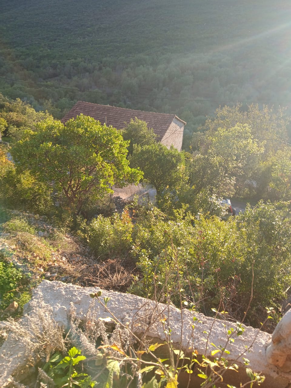 Land in Krimovica, Montenegro, 26 000 m² - picture 14