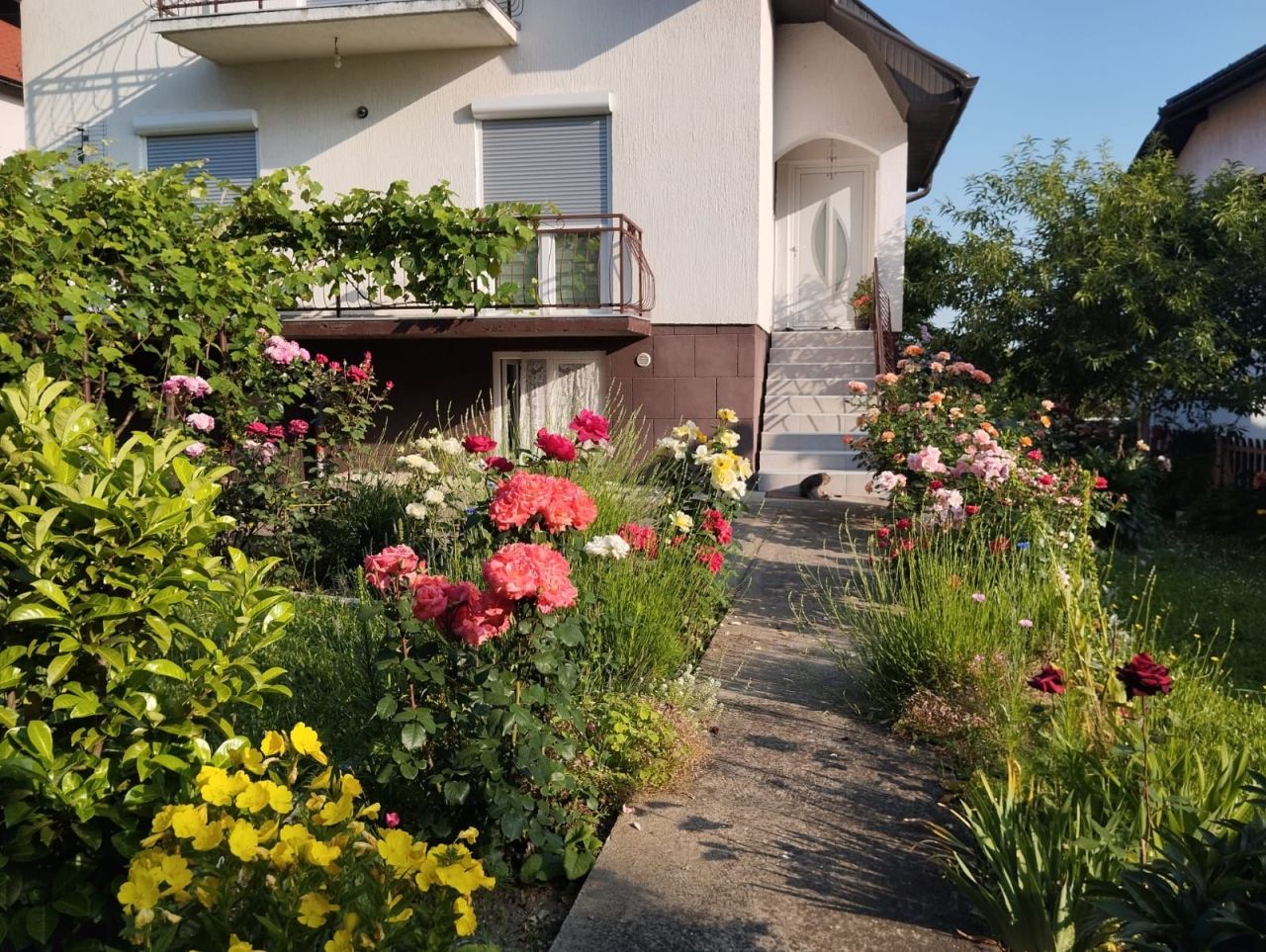 House in Loznica, Serbia, 202 m² - picture 1