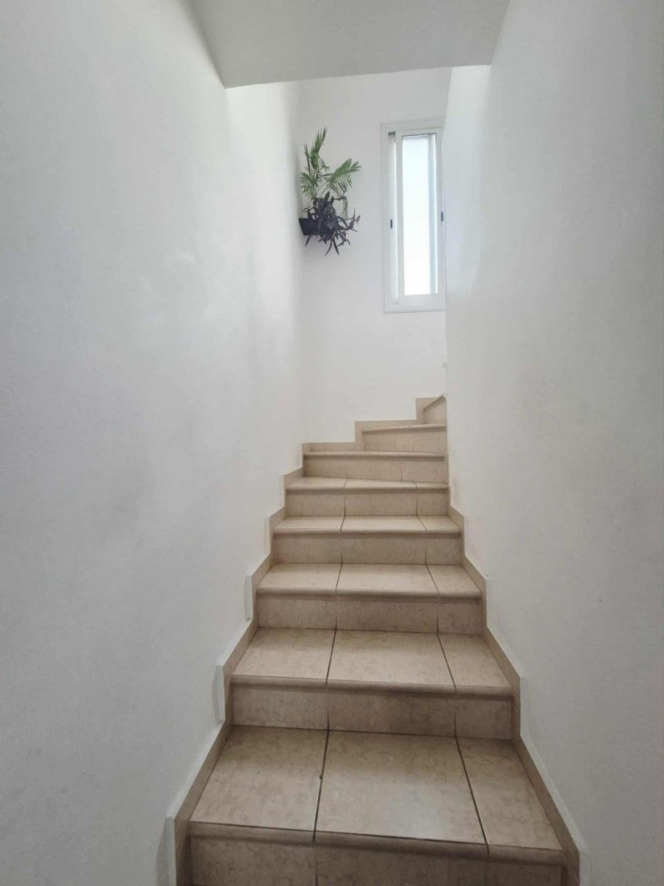 Villa in Paphos, Zypern - Foto 12