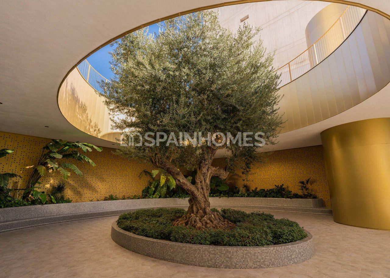 Penthouse à Benidorm, Espagne, 168 m² - image 13