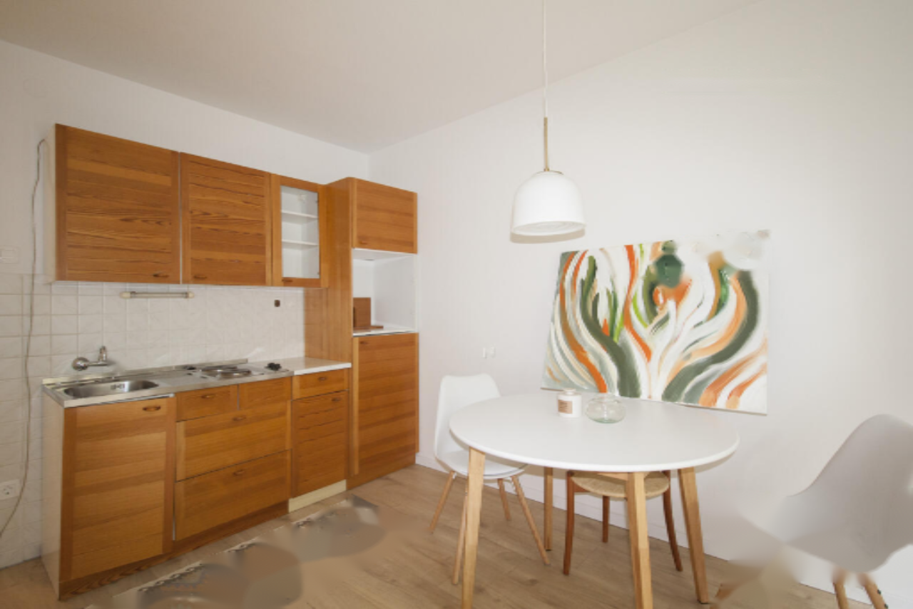 Flat in Ljubljana, Slovenia, 22 m² - picture 4