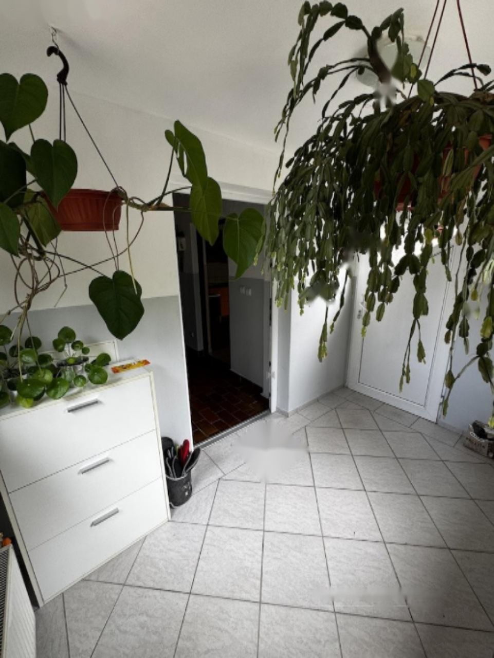 Granja en Maribor, Eslovenia, 256 m² - imagen 4