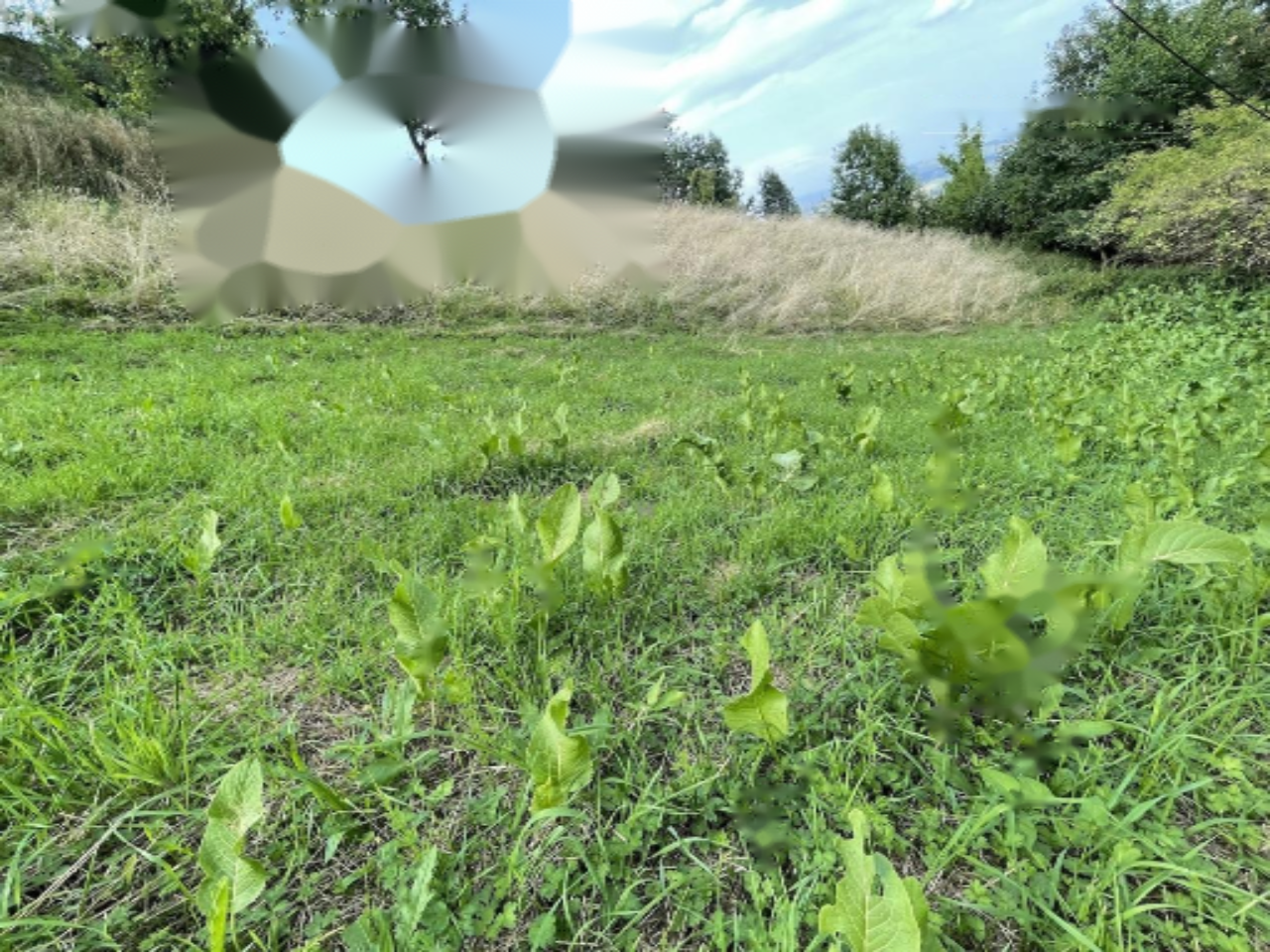 Granja en Maribor, Eslovenia, 256 m² - imagen 12