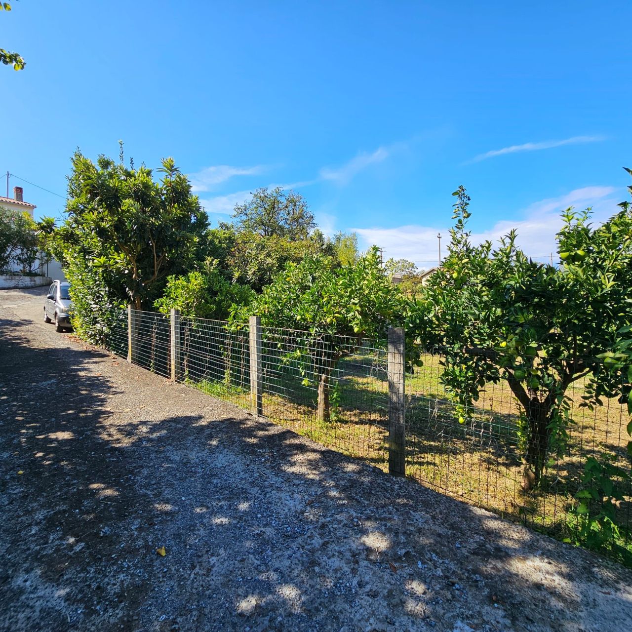 Haus in Diamante, Italien, 173 m² - Foto 16