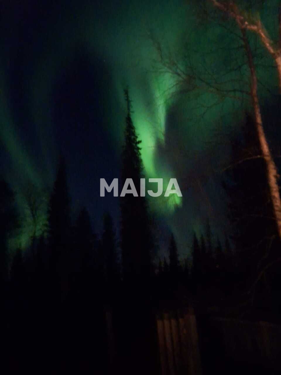 Cottage à Salla, Finlande, 50 m² - image 11