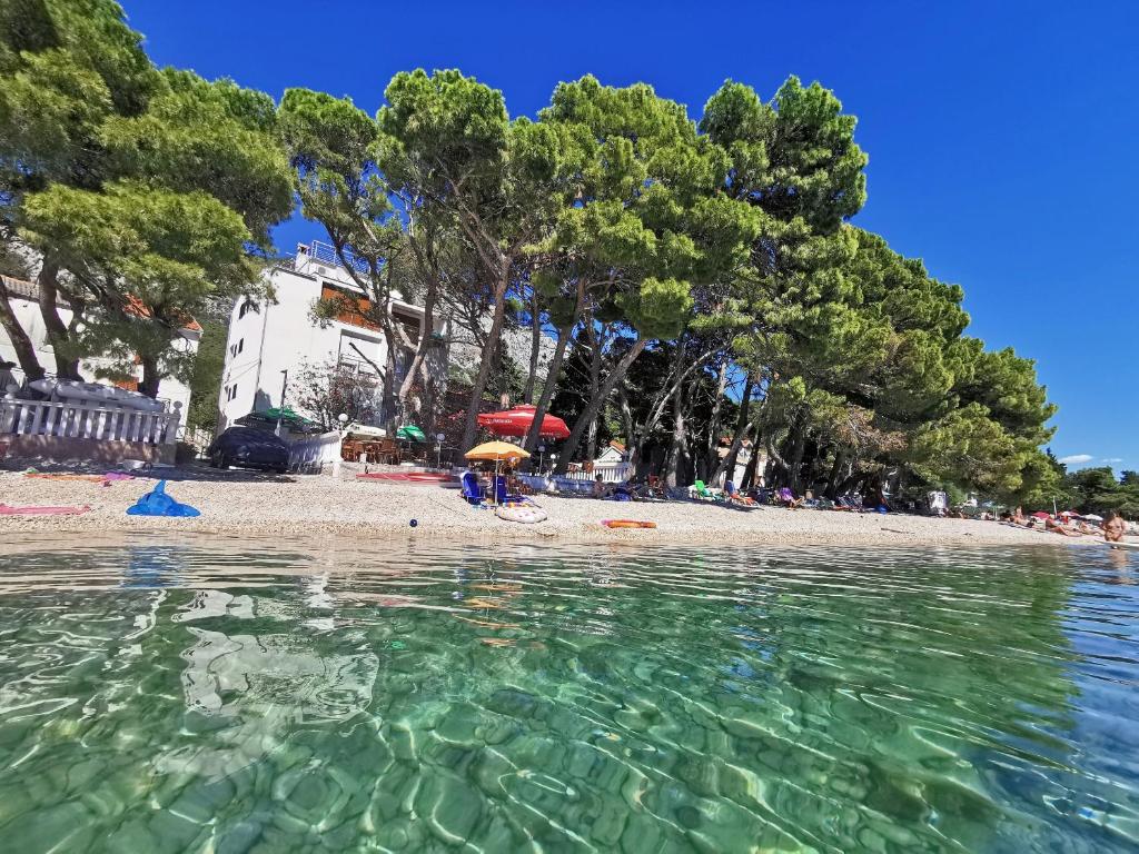 Hotel, albergo Živogošće, Croazia, 533 m² - foto 2