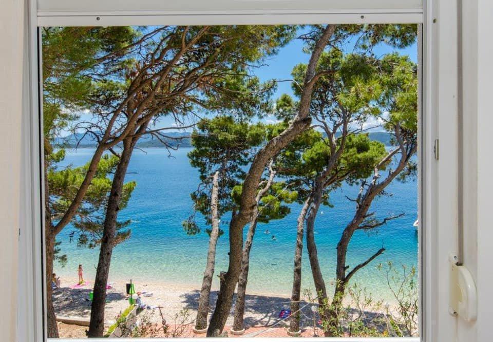 Hotel, albergo Živogošće, Croazia, 533 m² - foto 3