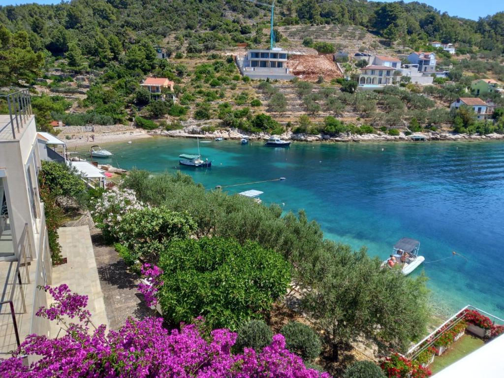 Hôtel Vela Luka, Croatie, 291 m² - image 12