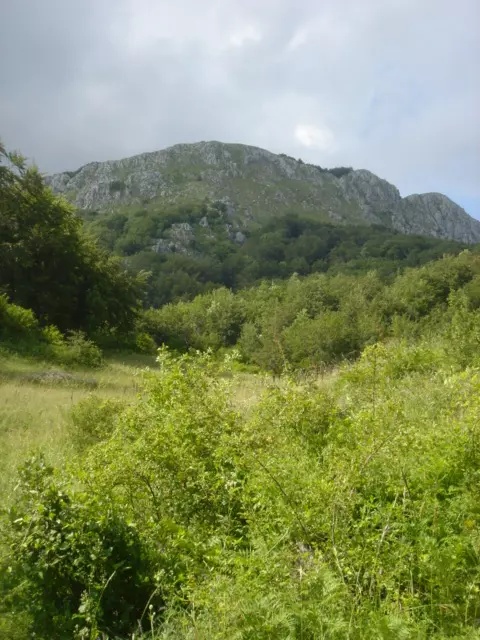 Terrain à Kolasin, Monténégro, 185 005 m² - image 4