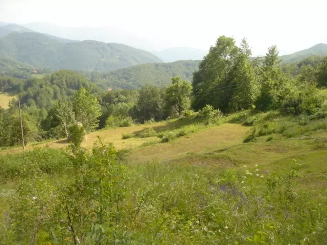 Terrain à Kolasin, Monténégro, 185 005 m² - image 2