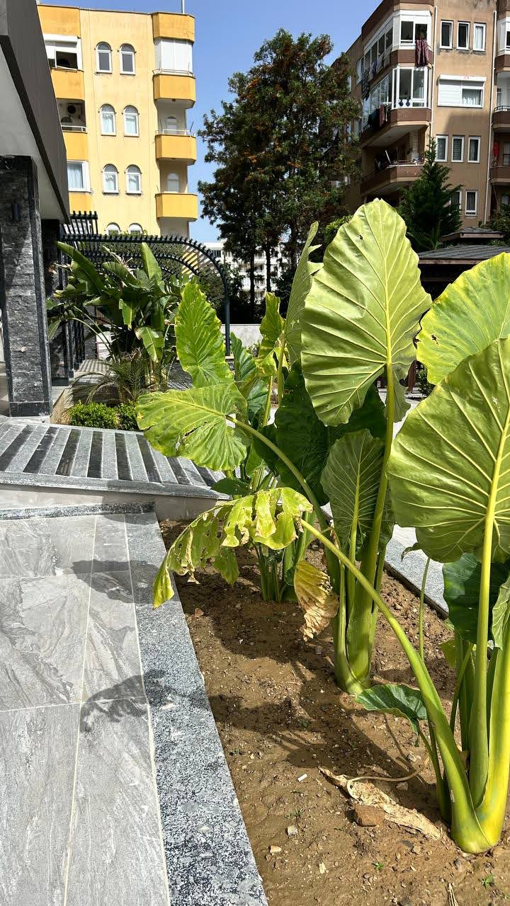 Appartamenti a Alanya, Turchia, 90 m² - foto 6