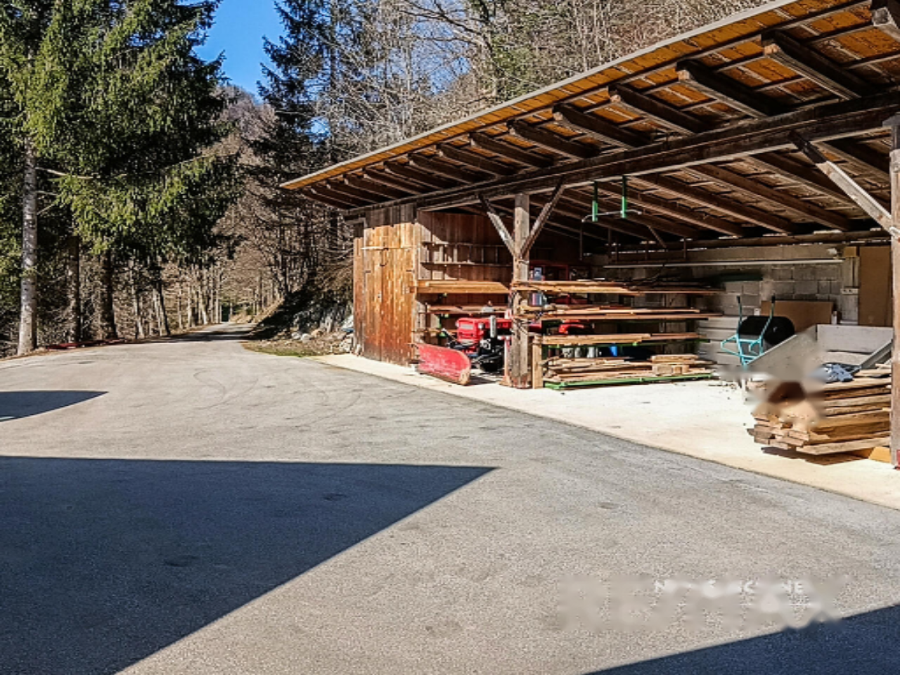 Farm in Obcina Zirovnica, Slovenia, 38 658 m² - picture 12