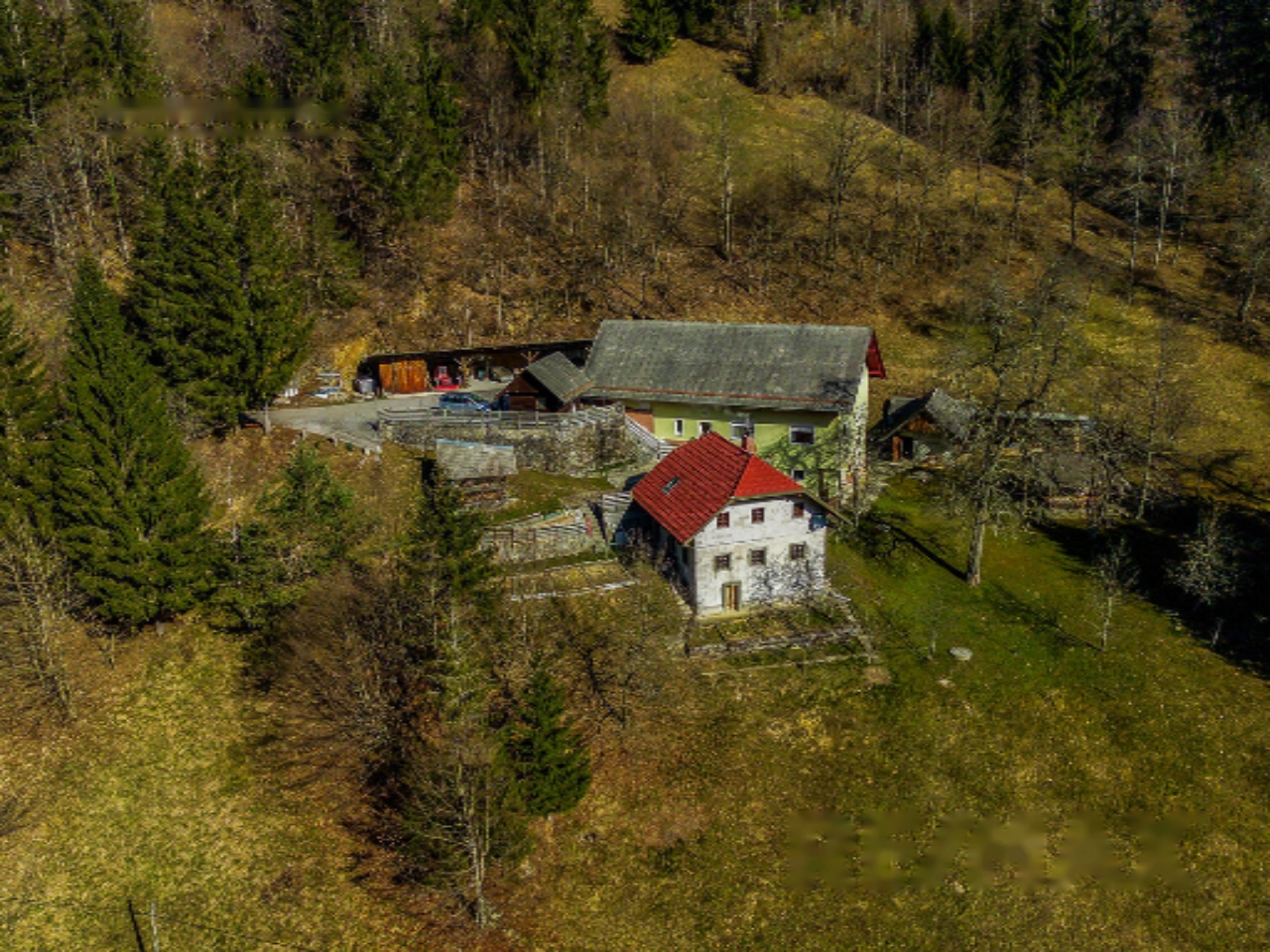 Farm in Obcina Zirovnica, Slovenia, 38 658 m² - picture 13