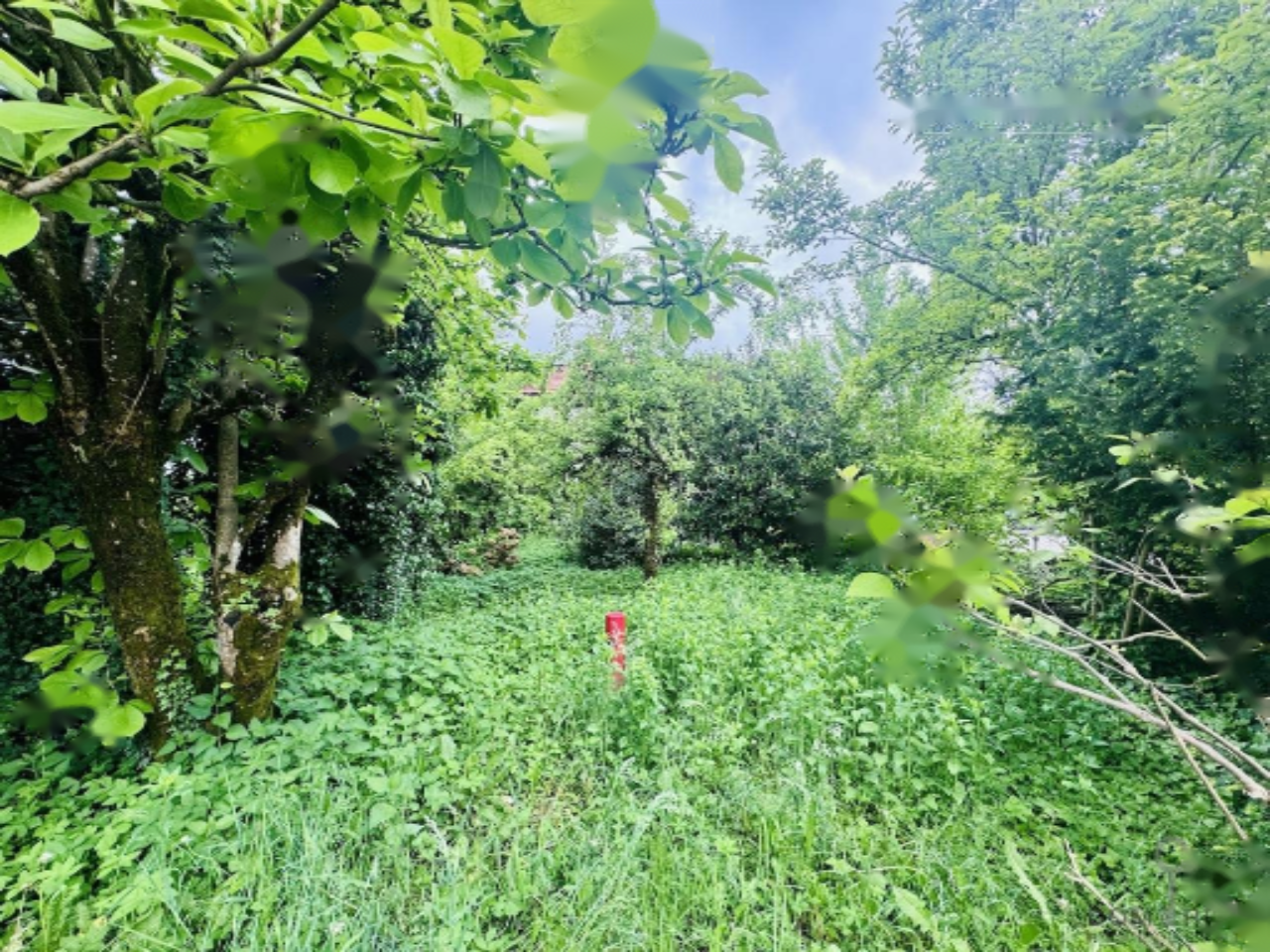 Maison à Ljubljana, Slovénie, 191 m² - image 3