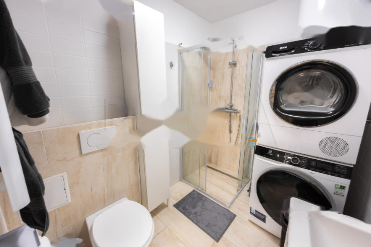 Maison à Ljubljana, Slovénie, 307 m² - image 4