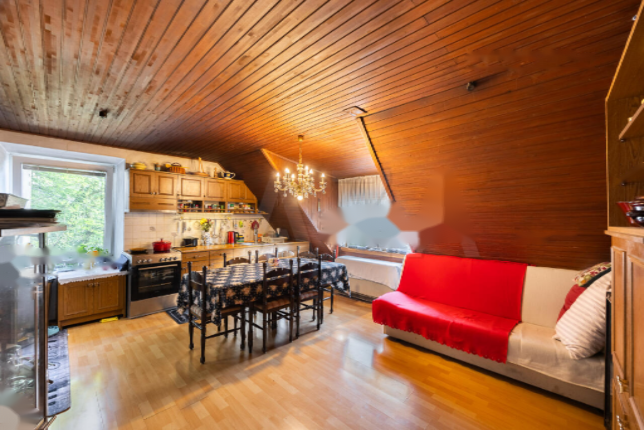 Maison à Ljubljana, Slovénie, 307 m² - image 7